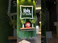 our ibis styles tokyo bay stay disneyland. ibis chiba disneylandhotels tokyo hotels