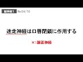 【スピード確認テストⅣ・29】脳神経１【聞き流し】