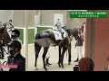 2022年5月22日 東京競馬場 3rアメイジングアイル ホースプレビュー