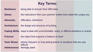Vocabulary-Brain's Journey to Resilience