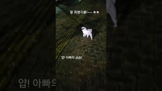 전생에 둘이 형제였나?~ ㅋ