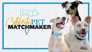 Andrea Barber Helps Heather & Matt Find A Rescue Pup | Celebrity Pet Matchmaker | PEOPLE