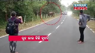 Terror Of A Tusker In Angul Till 2 Hours, Break A Bike Near Road Side