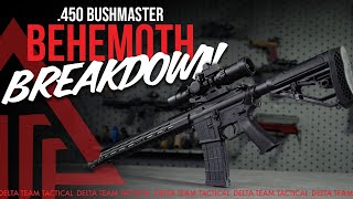 Best .450 Bushmaster Complete Rifle: The Behemoth!