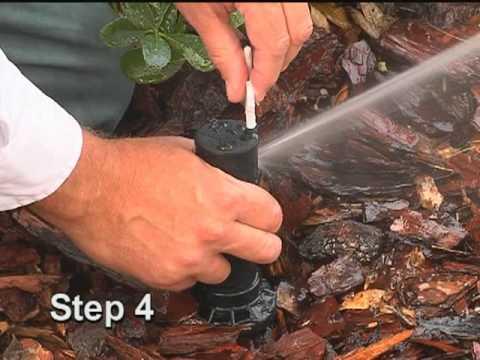 Adjusting Rotary Type Sprinkler Heads | Massey Services Adjusting Rotary Type Sprinkler Heads | Massey Services