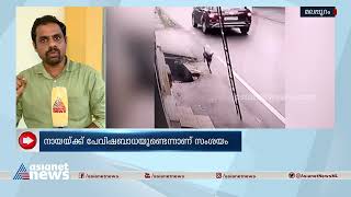 മലപ്പുറം നിലമ്പൂരിൽ ആറ് പേരെ തെരുവുനായ കടിച്ചു, നായക്ക് പേവിഷബാധയുണ്ടെന്ന് സംശയം stray dog attack