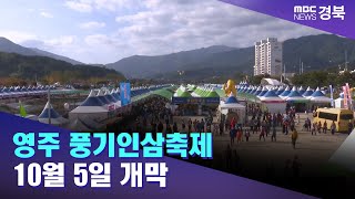 영주 풍기인삼축제 10월 5일 개막 / 안동MBC