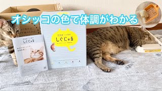 尿検査できる猫砂「しぐにゃる」オシッコで健康管理