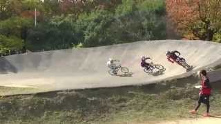 BMX 大泉 第３１回ｾｲﾘﾝｶｯﾌﾟ 13-14 ﾋｰﾄ1 2014