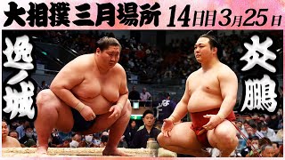 大相撲 逸ノ城ー炎鵬＜令和５年三月場所・十四日目＞SUMO