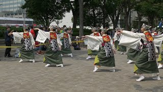 Funnyさん 土曜NHK前ｽﾄﾘｰﾄ 原宿表参道元氣祭スーパーよさこい2017