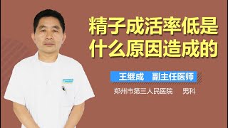 精子成活率低是什么原因造成的 有来医生