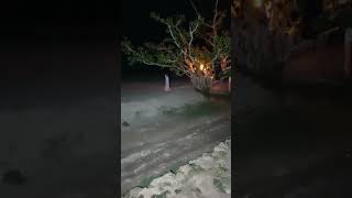 Really Ghost  Peepal  tree #short #trending #popular #viral #subscribe  👻😱👽