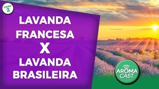 DIFERENÇA ENTRE A LAVANDA FRANCESA E A LAVANDA BRASILEIRA | ANDRÉ FERRAZ AROMATERAPIA