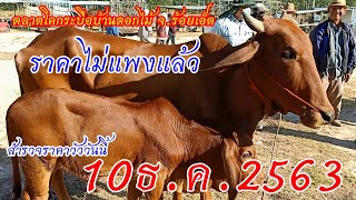 ราคาวัววันนี้(10ธ.ค.63)สำรวจราคาวัวสาว วัวลูกผสม ราคาถูก ตลาดโคกระบือบ้านดอกไม้ จ.ร้อยเอ็ด