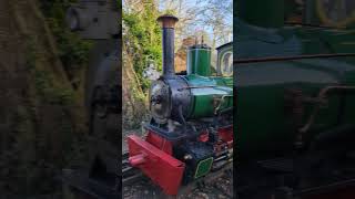 'EICIAU' In Action At The Bredgar \u0026 Wormshill Railway #shorts #railway #steam #train #trainspotting