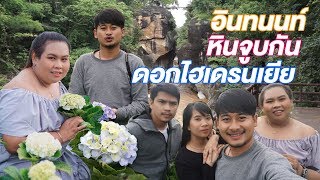 ขึ้นดอยอินทนนท์ 10 องศา ควันออกปากมั้ยนะ | ทุ่งดอกไฮเดรนเยียเริ่ดรึเปล่า | ศาลายาไปไหน EP.7