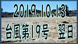 2019.10.13　台風第19号　翌日の様子　多摩川　野川　仙川【自然災害、氾濫】