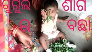 ଗୁଗୁଲୁ ର ଶାଗ ବଛା 🍀🤗😮 Odia new full vlogs video enjoyment Odisha