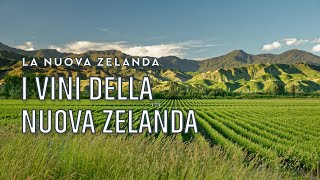 I vini della Nuova Zelanda | Tannico Flying School