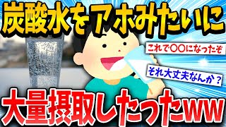 【2ch面白いスレ】ネット民に「強炭酸水は体にいいぞ」って言われたから大量摂取したったｗｗｗｗｗ【ゆっくり解説】