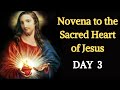 Sacred Heart Novena - Day 3