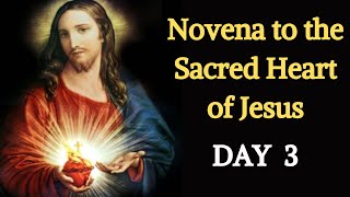 Sacred Heart Novena - Day 3