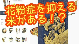 ケンサキイカ と キンメダイ の ほのぼの雑学271「アグロバクテリウム」