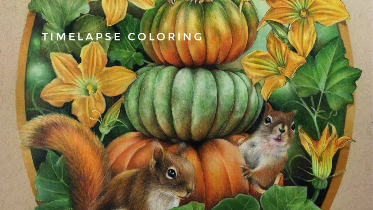 Pumpkin Patch Speed Coloring Chris Cheng Youtube