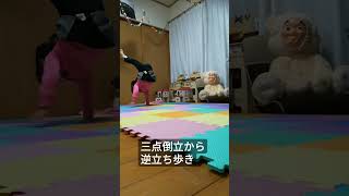 4歳逆立ち歩き(三点倒立\u0026ブリッジ)Walk on handstand