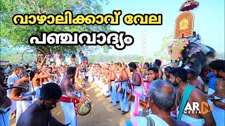 Vazhalikkavu Pooram 2023 Panchavadyam വാഴാലിക്കാവ് വേല