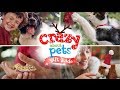 Crazy About Pets! - Petco Holiday Gift Guide