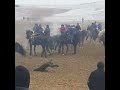 бузкаши тапкок б саидназир 22 01 22🇹🇯🇺🇿🇰🇿🇰🇬👍🐎