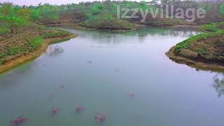 Shamshernagar Camillia Lake Area in Bangladesh Izzyvillage