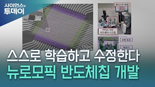 스스로 학습하고 수정한다…뉴로모픽 반도체칩 개발 / YTN 사이언스