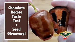 PS Chocolate Rocoto - Pod Review - 2021 Pepper Reviews + Seed Giveaway