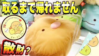 【クレーンゲーム♥︎新登場】すみっコぐらし おっきなお顔のクッションがとっても可愛いですね♥︎どうしても欲しい～！10th フェイスクッション♥︎タイトー