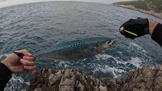 Shore jigging - Albacore on cloudy day