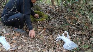 野鳥たちの水場を作ると・・^^