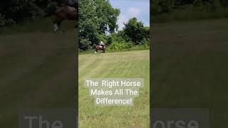 We Weren't  Expecting That!  #horses #gallop #