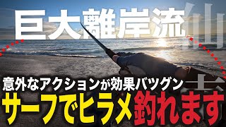 仙南サーフでヒラメ釣れた！固定概念を捨てるの大事！【宮城 釣り】