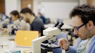 Wellness at Washington University School of Medicine