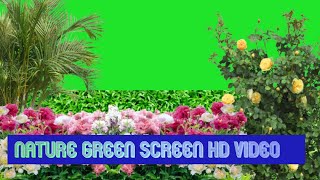 Nature green screen HD video