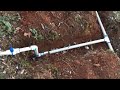 Installing A Drip Irrigation System For Blackberries