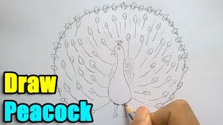 How to Draw a Peacock