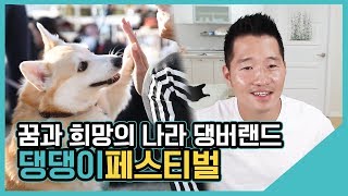 꿈과 희망의 나라 댕버랜드 '댕댕이페스티벌'｜수밤라이브