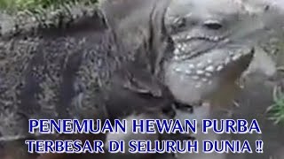 Hewan Purba Yang Masih Hidup Hewan Purba Yang Masih Hidup Hewan