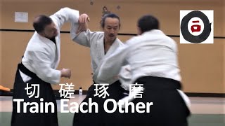 WayOf合氣 | SPARRING 稽古日記 | SeSsaTakuMa 切磋琢磨 : Katsumi Idogawa Sensei (井戸川克巳先生) Oizumi Aikido 2017#21