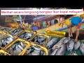 Proses bongkar ikan kapal nelayan pantura