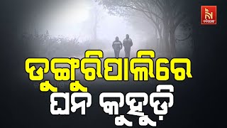 Dunguripali Freezes Under Severe Cold Wave With Dense Fog Disrupts Transportation | Subarnapur Video